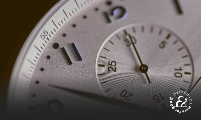 How Long Does a Car Accident Settlement Take?