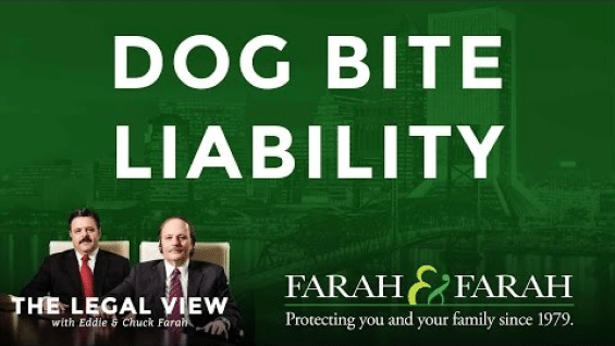 The Farah and Farah team talking dog bite liability