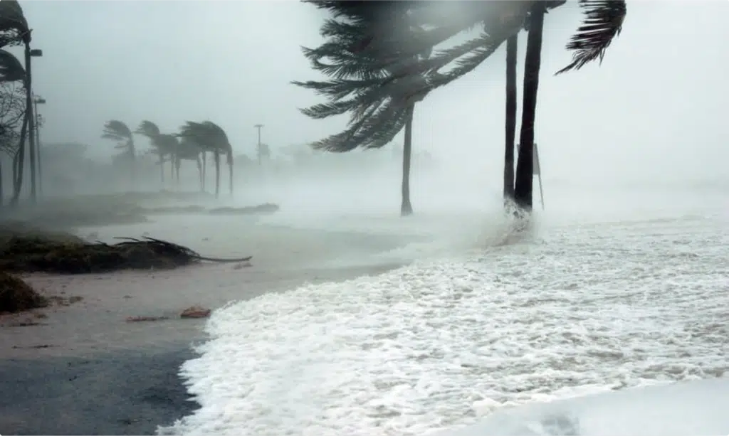 handling hurricanes