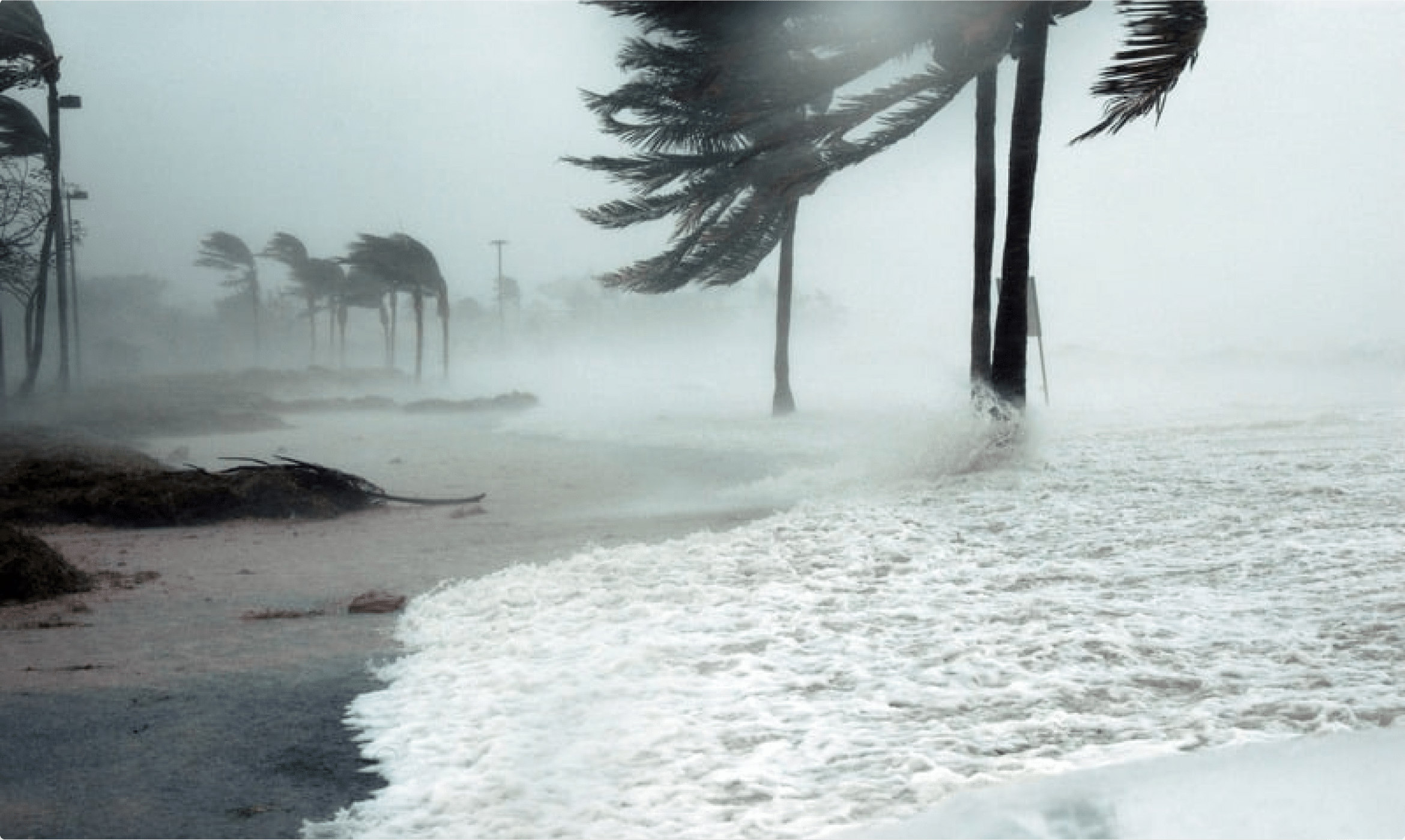 Hurricane preparedness lessens stress when a disaster strikes