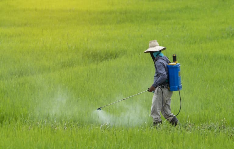 Farmer Spraying Pesticide