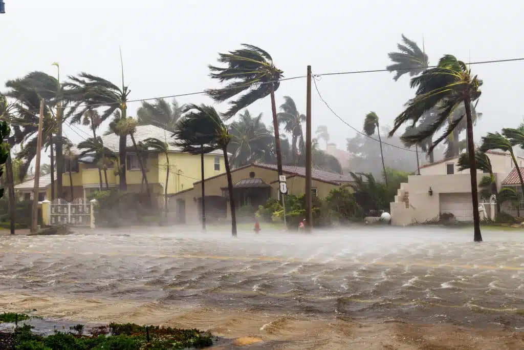 Flooded Las Olas Blvd and Palm trees blowing in the winds, catas