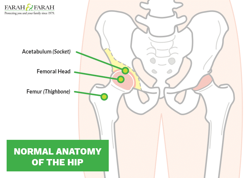 The anatomy of the hip