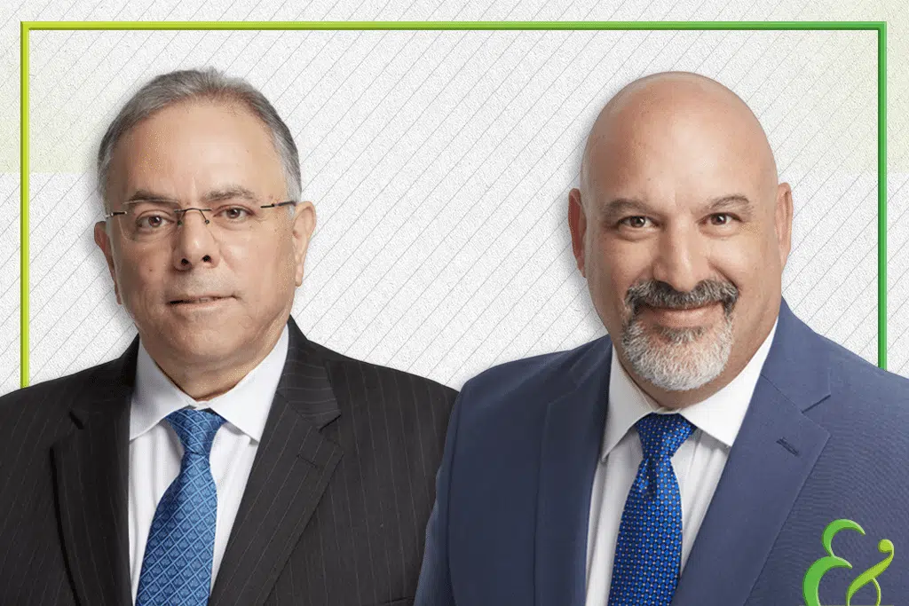 Attorneys