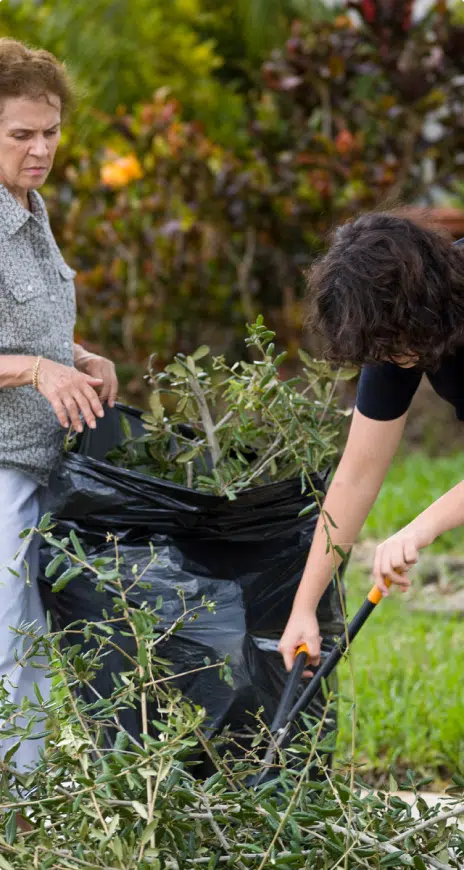 cutting weeds