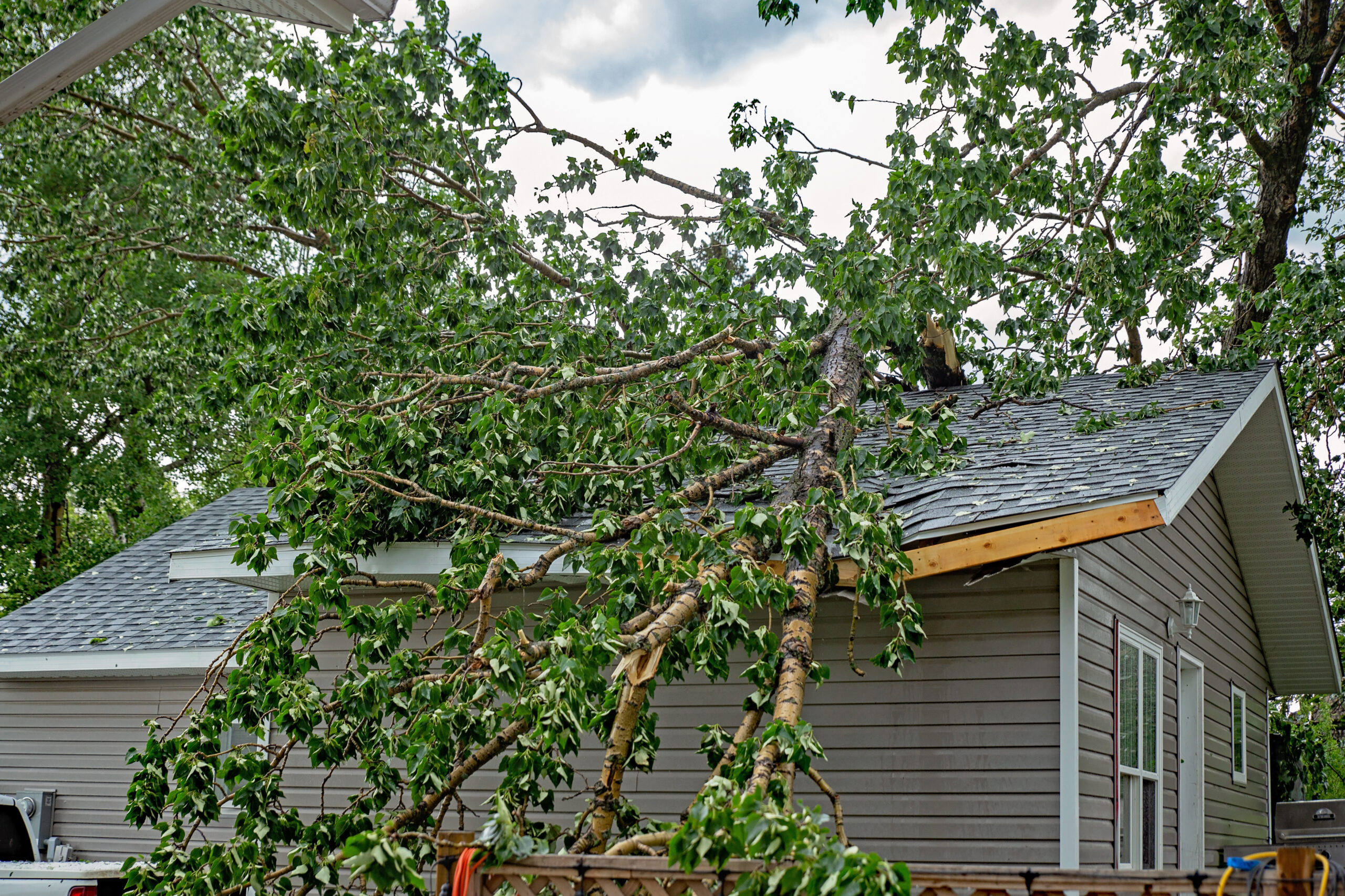 a tree fallen on a roof in Florida after a hurricane