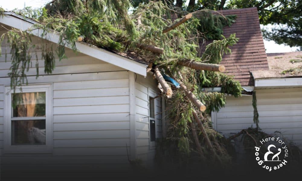 a tree fallen on a home in Florida following a hurricane causing hurricane damage