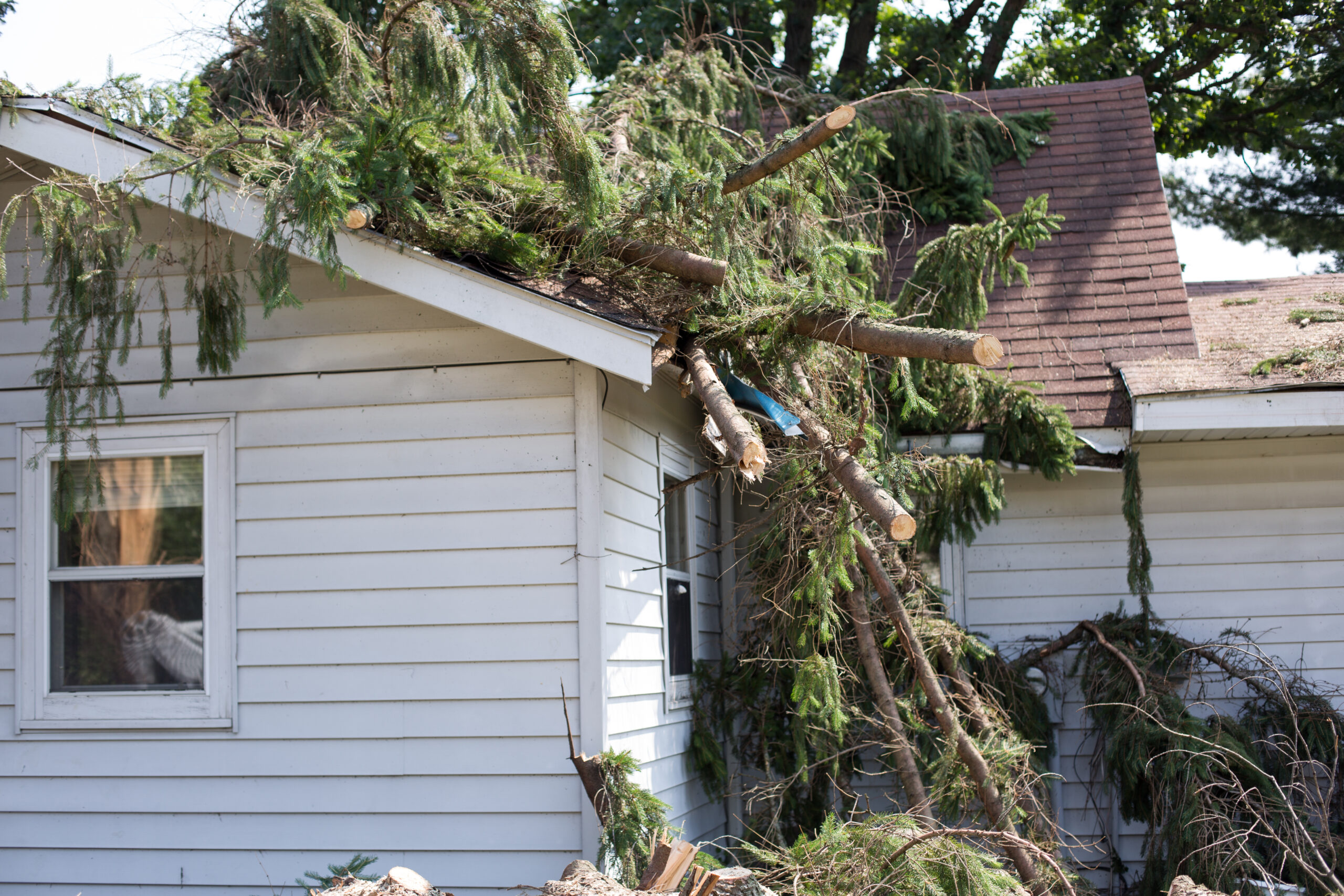 a tree fallen on a home in Florida following a hurricane causing hurricane damage