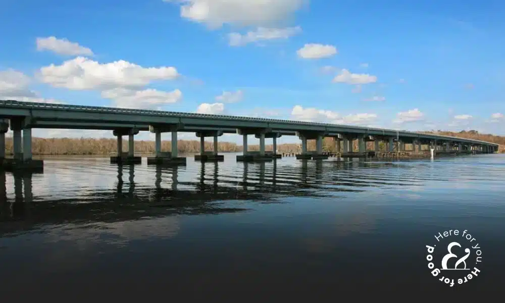 Buckman Bridge in Florida