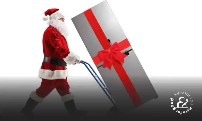 Holiday gift