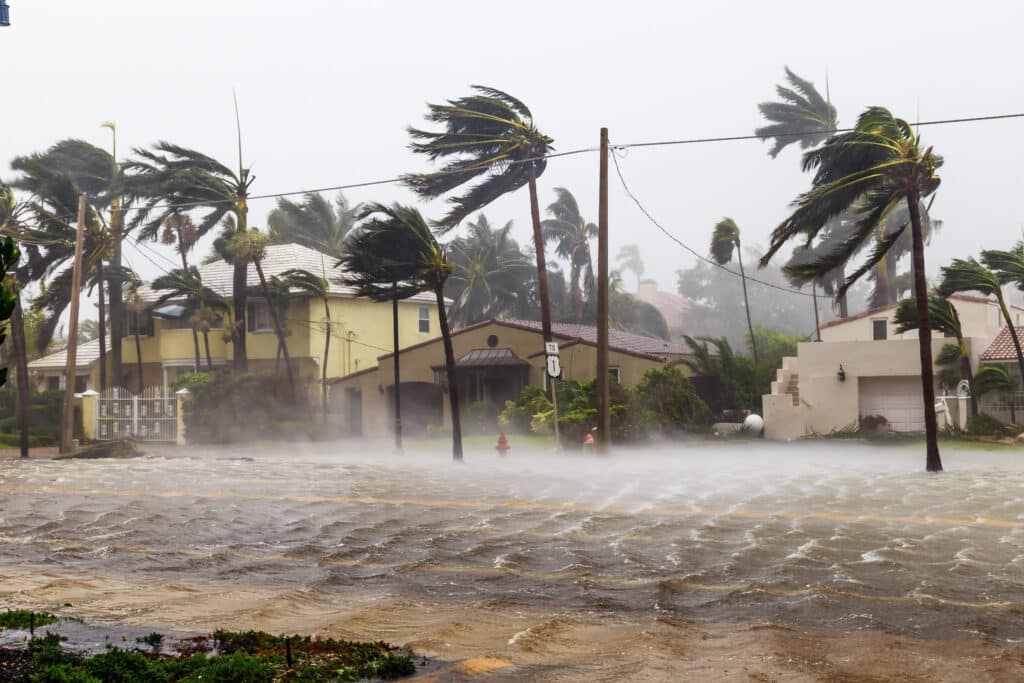 Flooded Las Olas Blvd and Palm trees blowing in the winds, catas