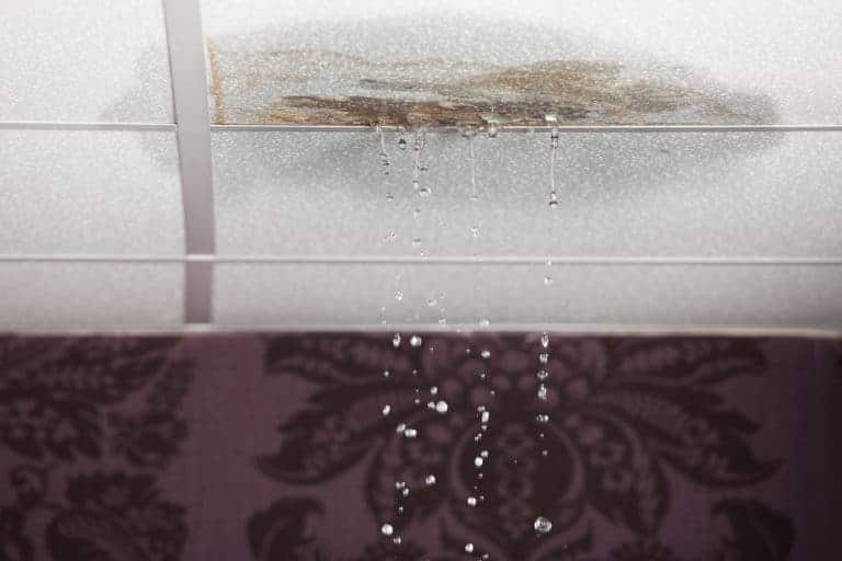Water Damage in a House
