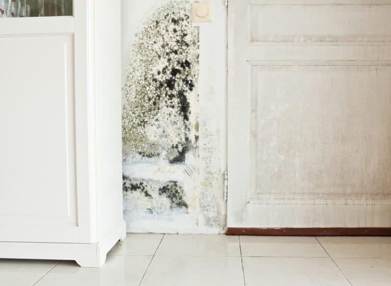 Water Damaged Wall
