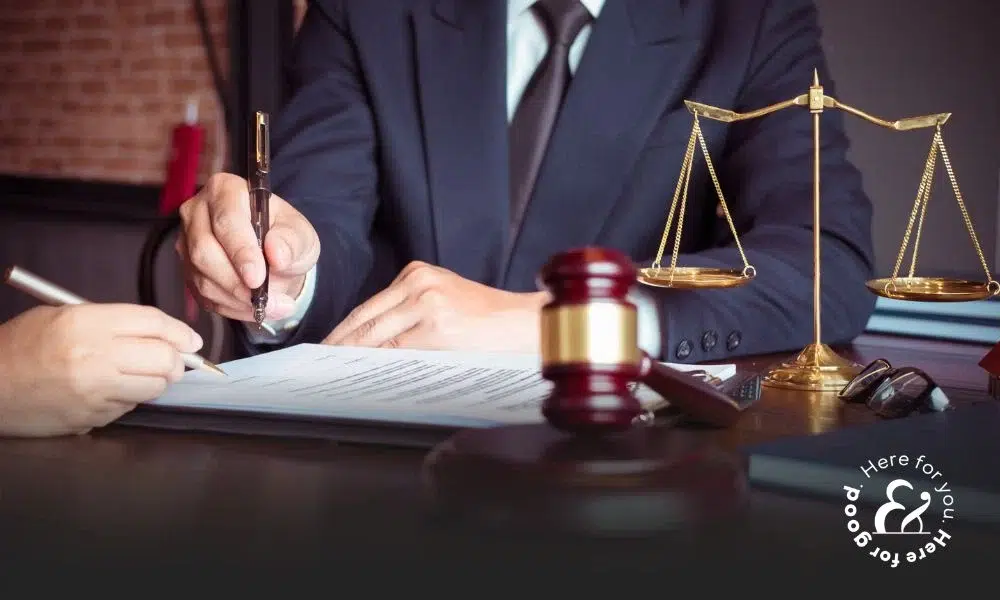 Lawyer writing on document next to client