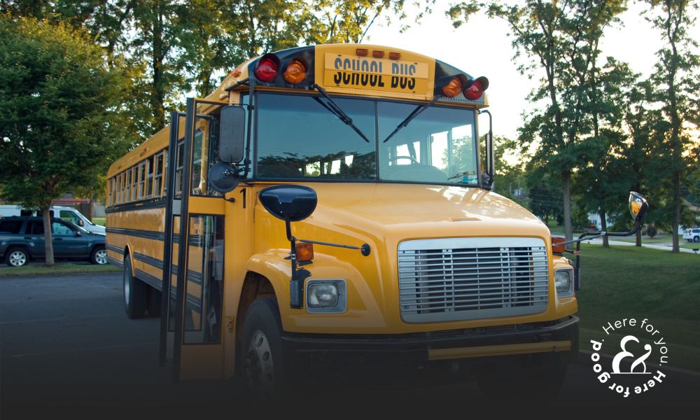School bus taking children to the school