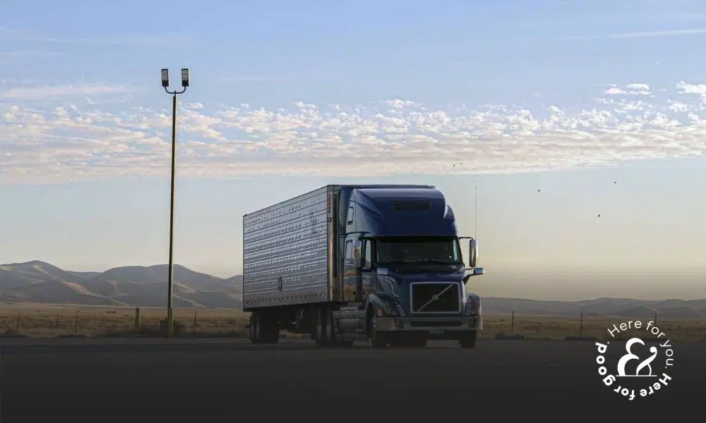 Who Is Liable in a Truck Accident Case?