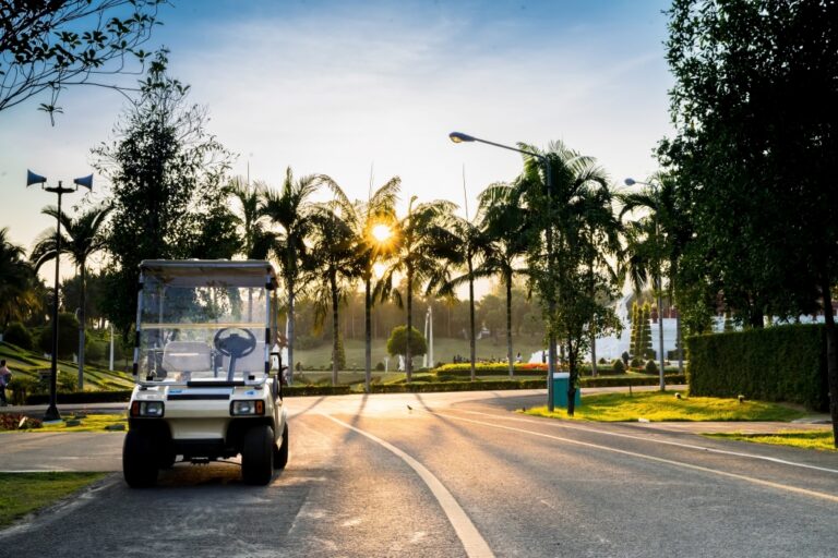 a golf cart modified as a low-speed vehicle on a road in Florida